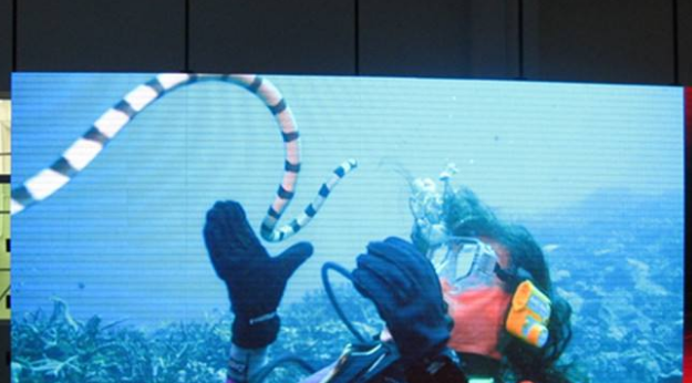 美股四次熔斷，會(huì)對(duì)室內(nèi)全彩led顯示屏行業(yè)造成怎樣的影響呢